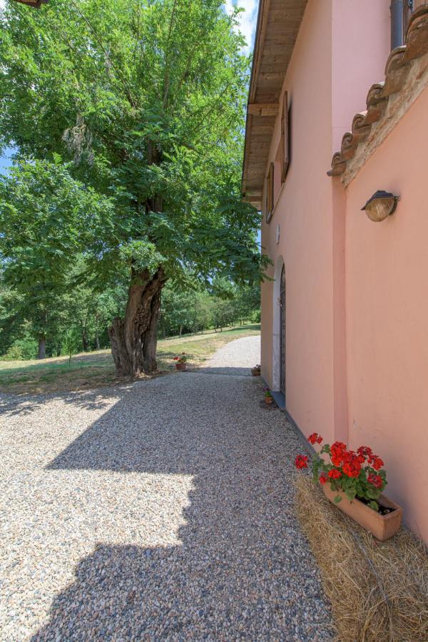 Tenuta Cascina Marenco Gavi Eksteriør bilde